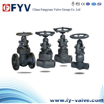 API 602 Forged Steel Gate Valve